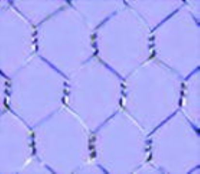 Hexagonal Wire Netting